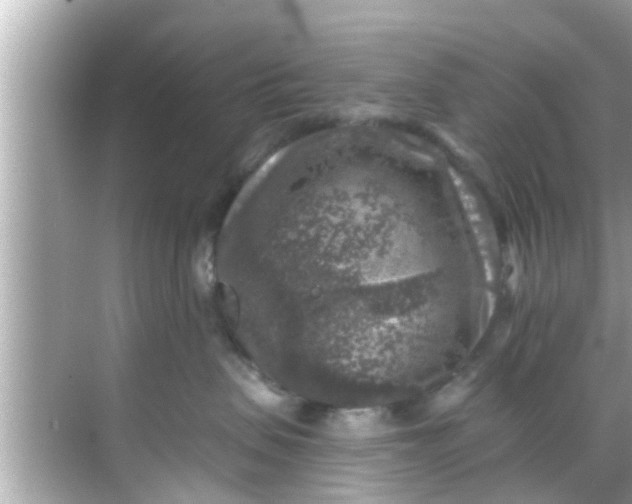 X0000068300479200605051938