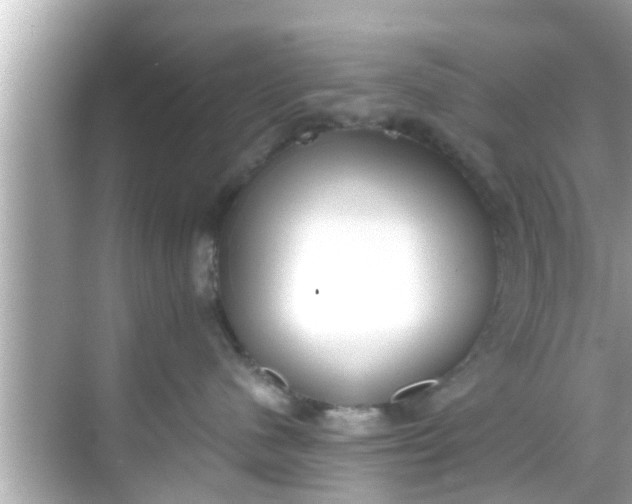 X0000068300480200605051938