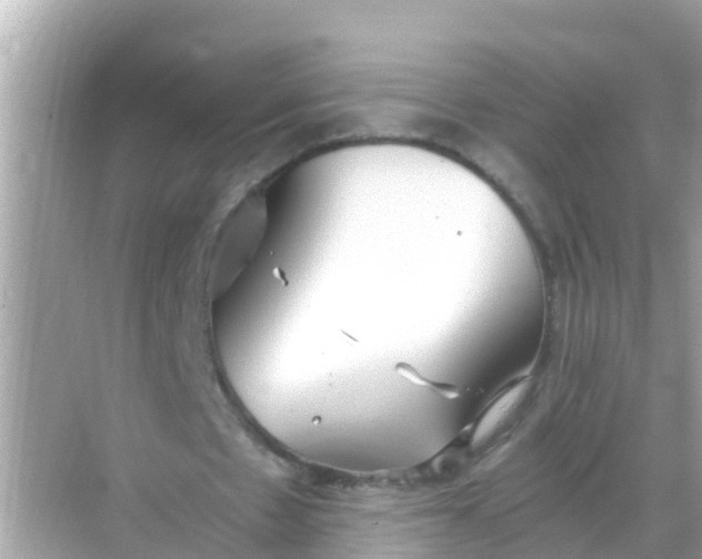 X0000068300481200605051937