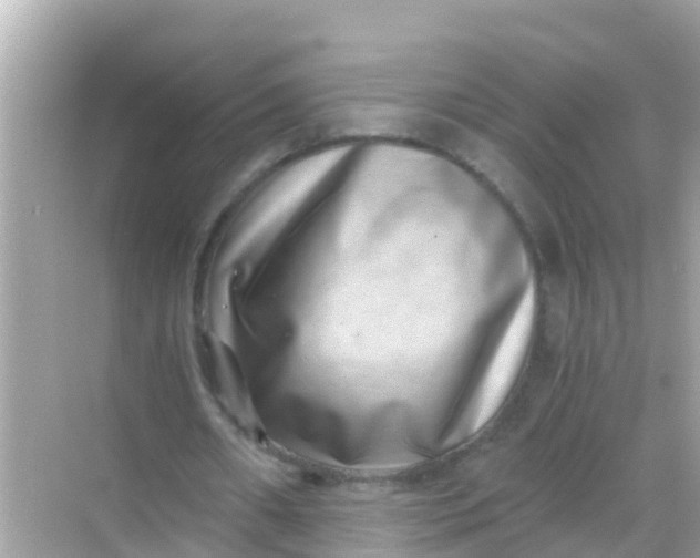 X0000068300482200605051937