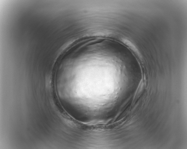 X0000068300483200605051937