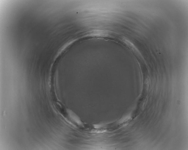 X0000068300484200605051937