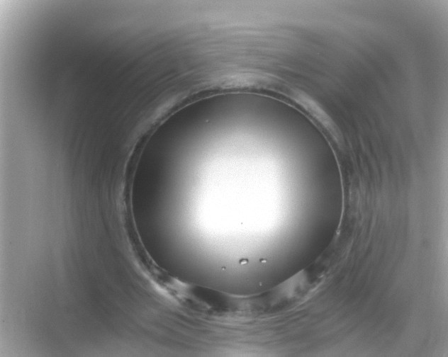 X0000068300485200605051937