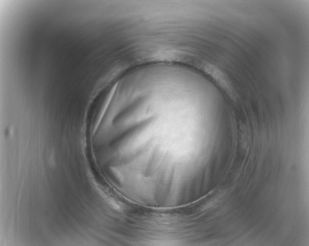 X0000068300486200605051937