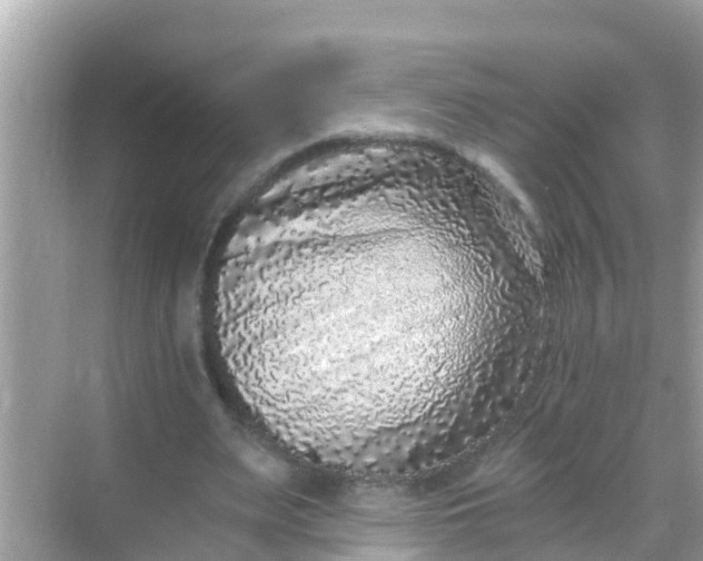 X0000068300487200605051937