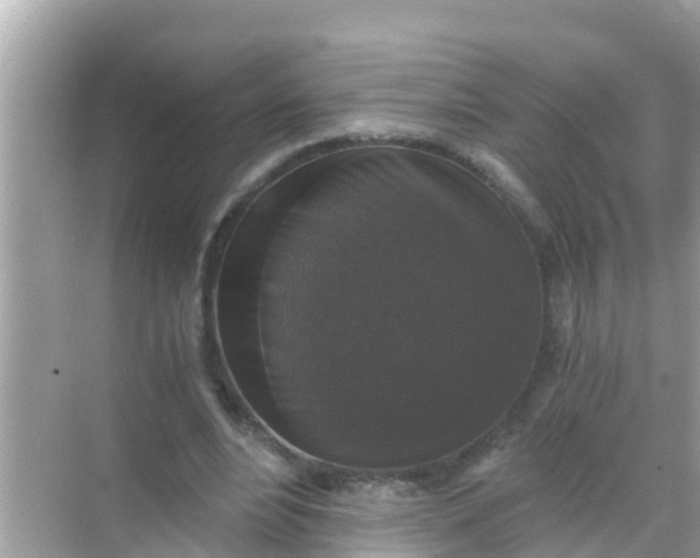 X0000068300488200605051937