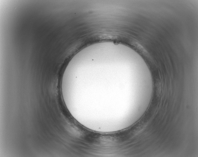 X0000068300490200605051937