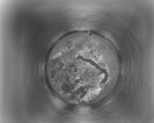 X0000068300491200605051937