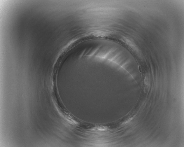 X0000068300492200605051937