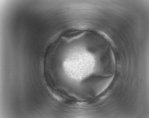 X0000068300493200605051937