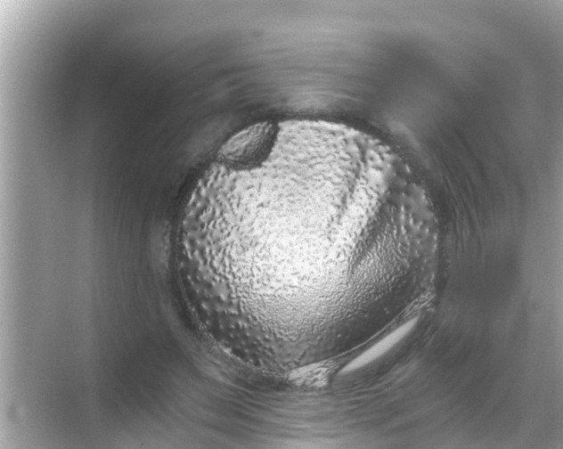 X0000068300495200605051937