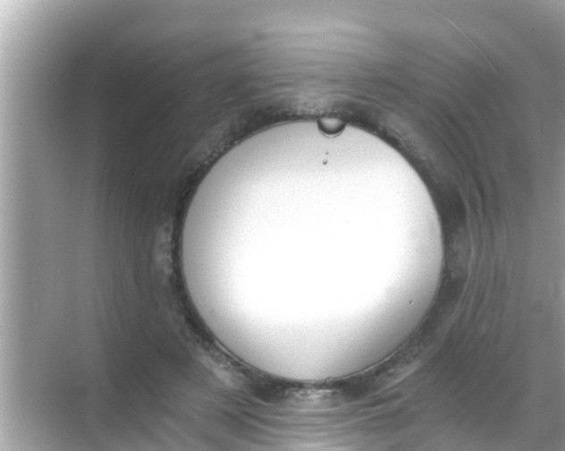 X0000068300497200605051937