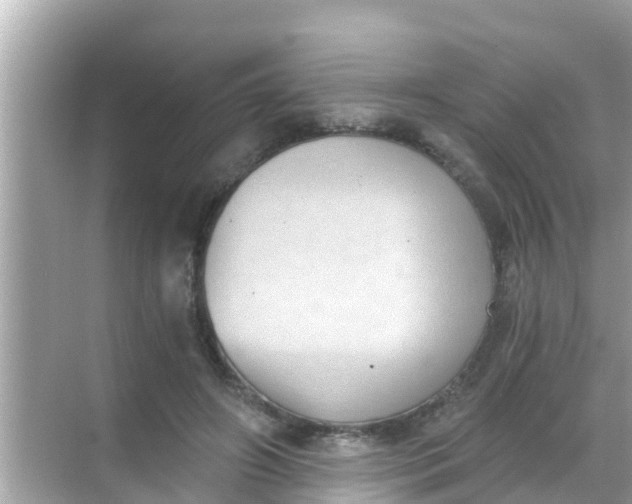 X0000068300498200605051937