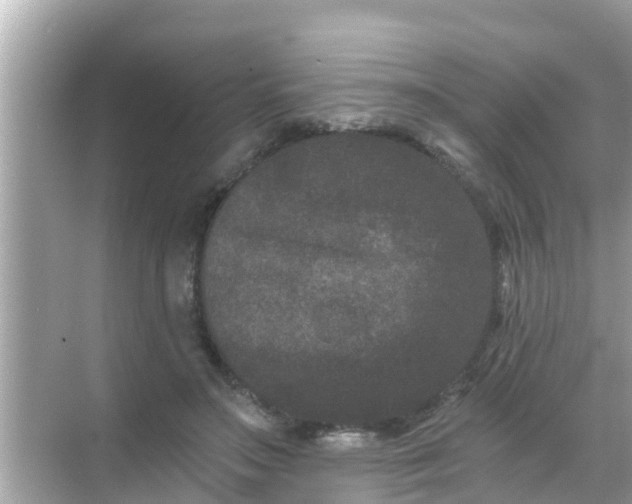 X0000068300499200605051937