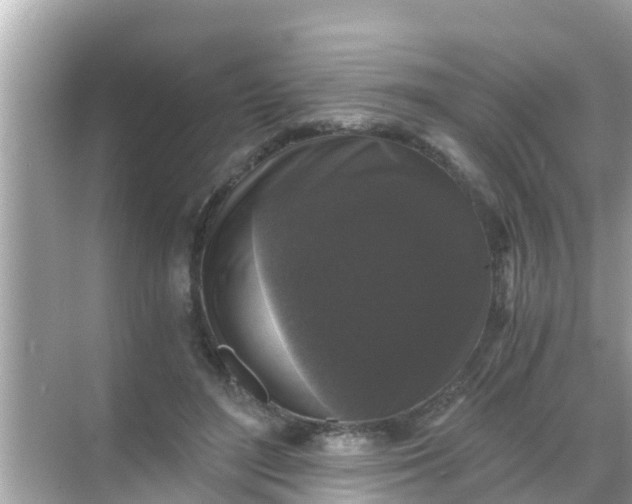 X0000068300500200605051937