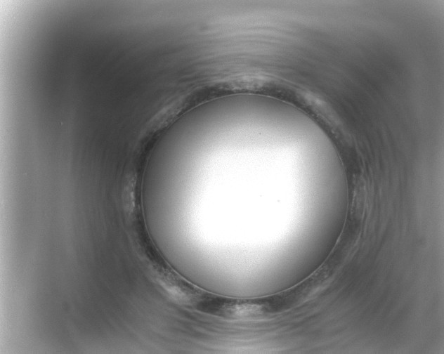 X0000068300501200605051937