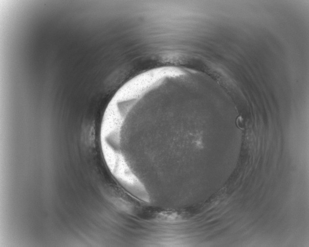 X0000068300502200605051937