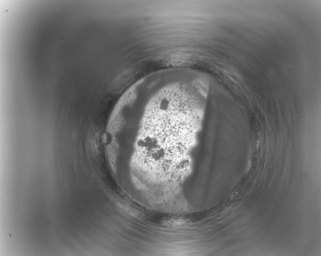 X0000068300503200605051937