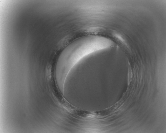 X0000068300504200605051937