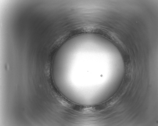 X0000068300505200605051937