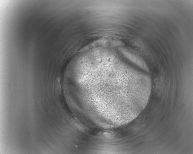 X0000068300506200605051936