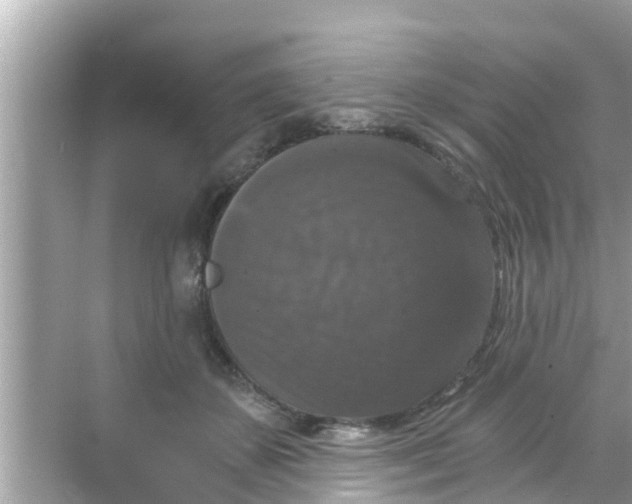 X0000068300507200605051936