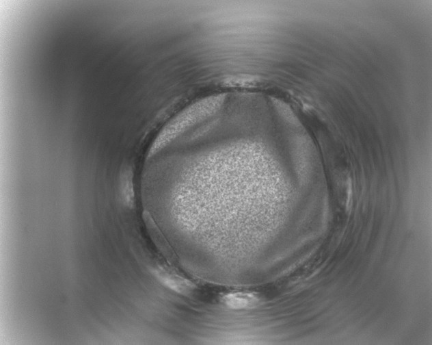 X0000068300508200605051936