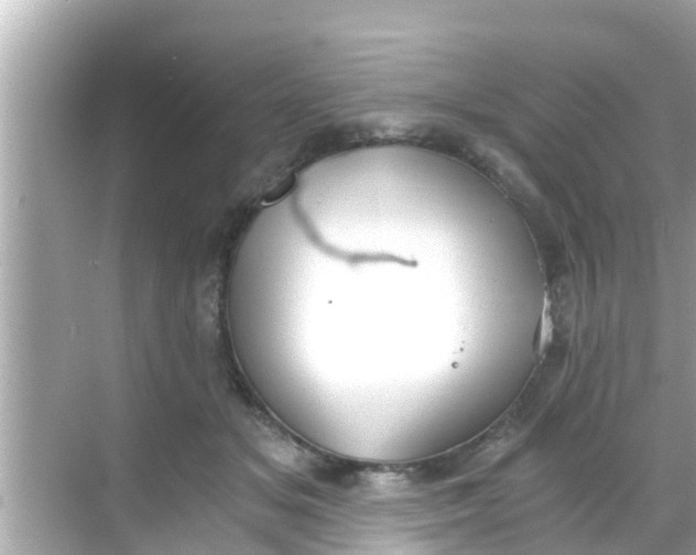 X0000068300509200605051936