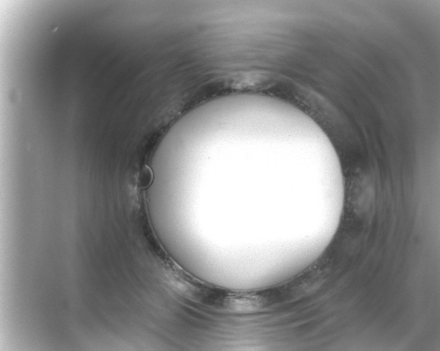 X0000068300510200605051936