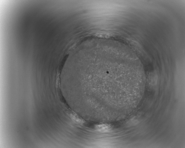 X0000068300511200605051936