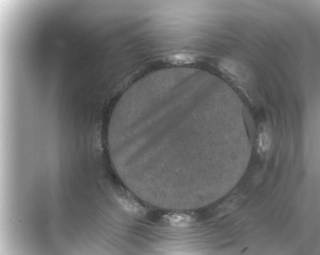 X0000068300512200605051936