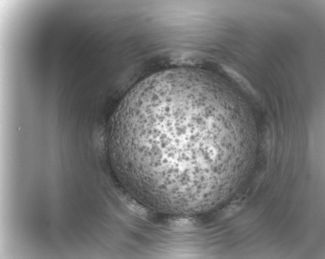 X0000068300513200605051936