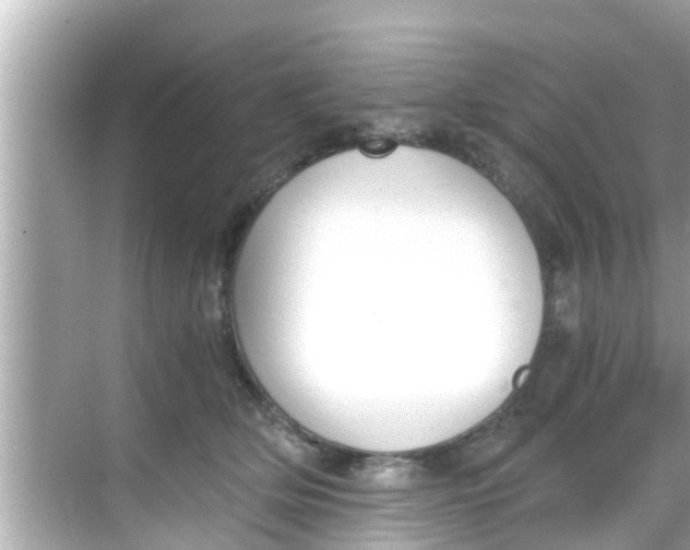 X0000068300514200605051936