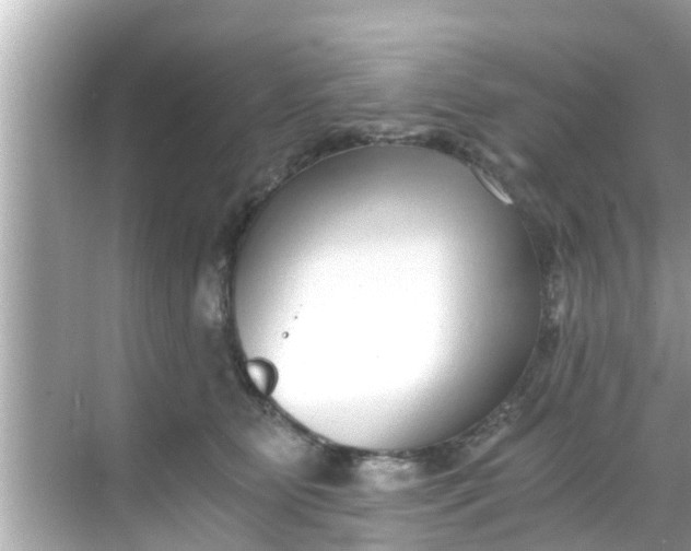 X0000068300515200605051936