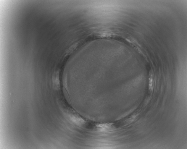 X0000068300516200605051936