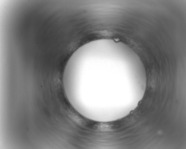 X0000068300518200605051936