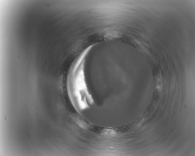 X0000068300519200605051936