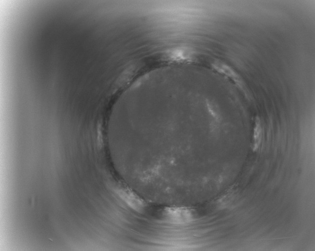 X0000068300520200605051936