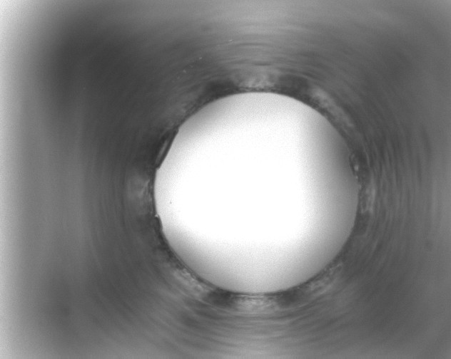 X0000068300521200605051936