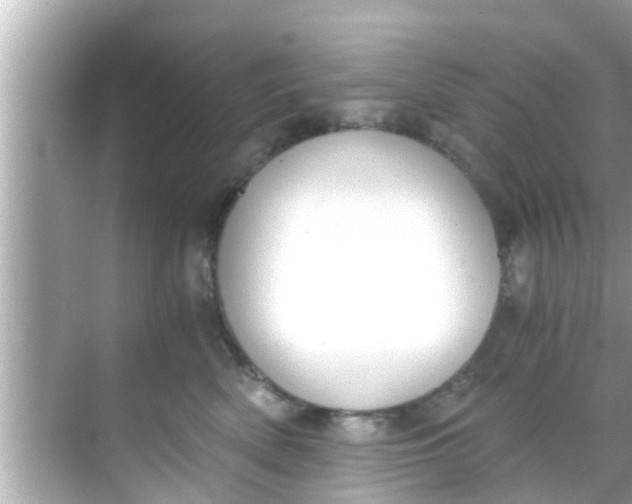 X0000068300522200605051936