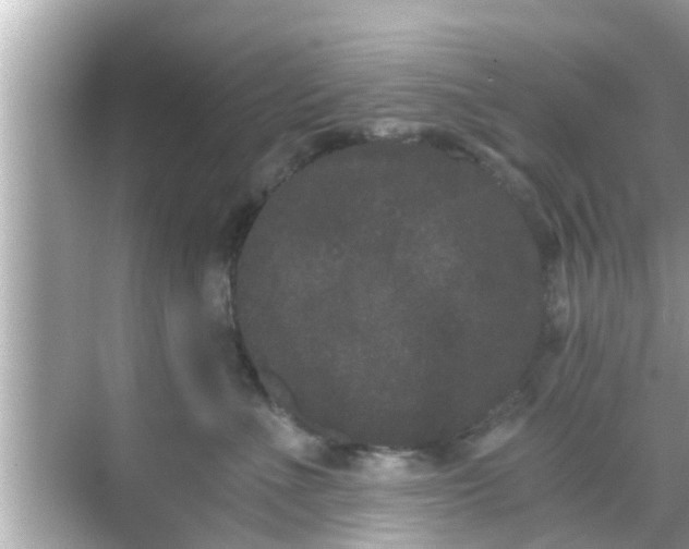 X0000068300523200605051936