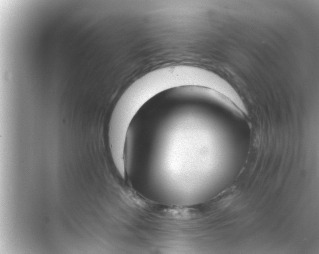 X0000068300524200605051936