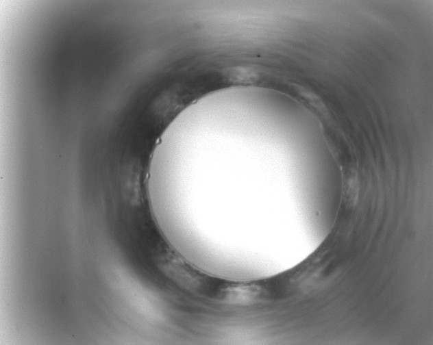 X0000068300525200605051936