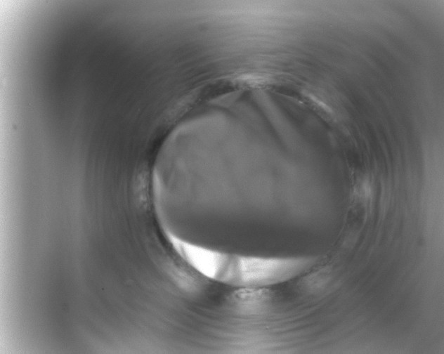 X0000068300526200605051936