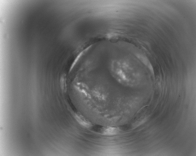 X0000068300527200605051936