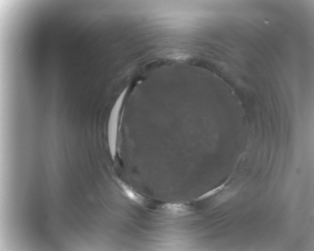 X0000068300528200605051936