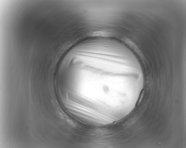 X0000068300529200605051935