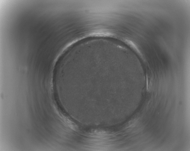 X0000068300531200605051935