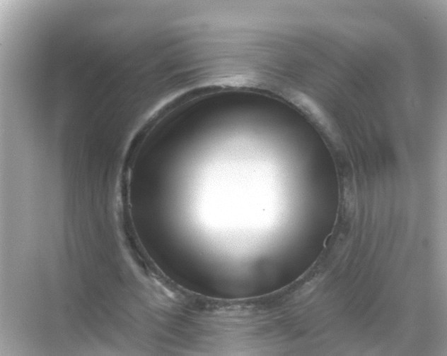 X0000068300532200605051935