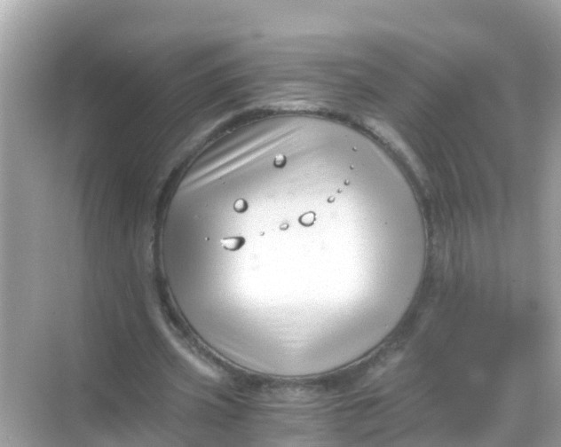 X0000068300533200605051935